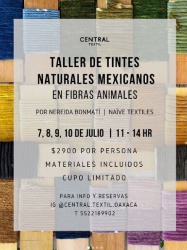 Casa Antonieta - TALLER DE TINTES NATURALES MEXICANOS